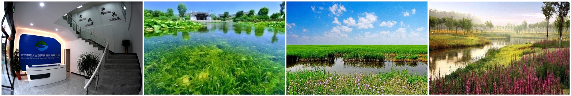 �ٲ���cbin99(�й�)�ٷ���վ