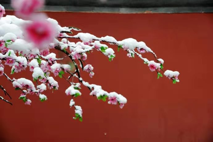 �ٲ���cbin99(�й�)�ٷ���վ