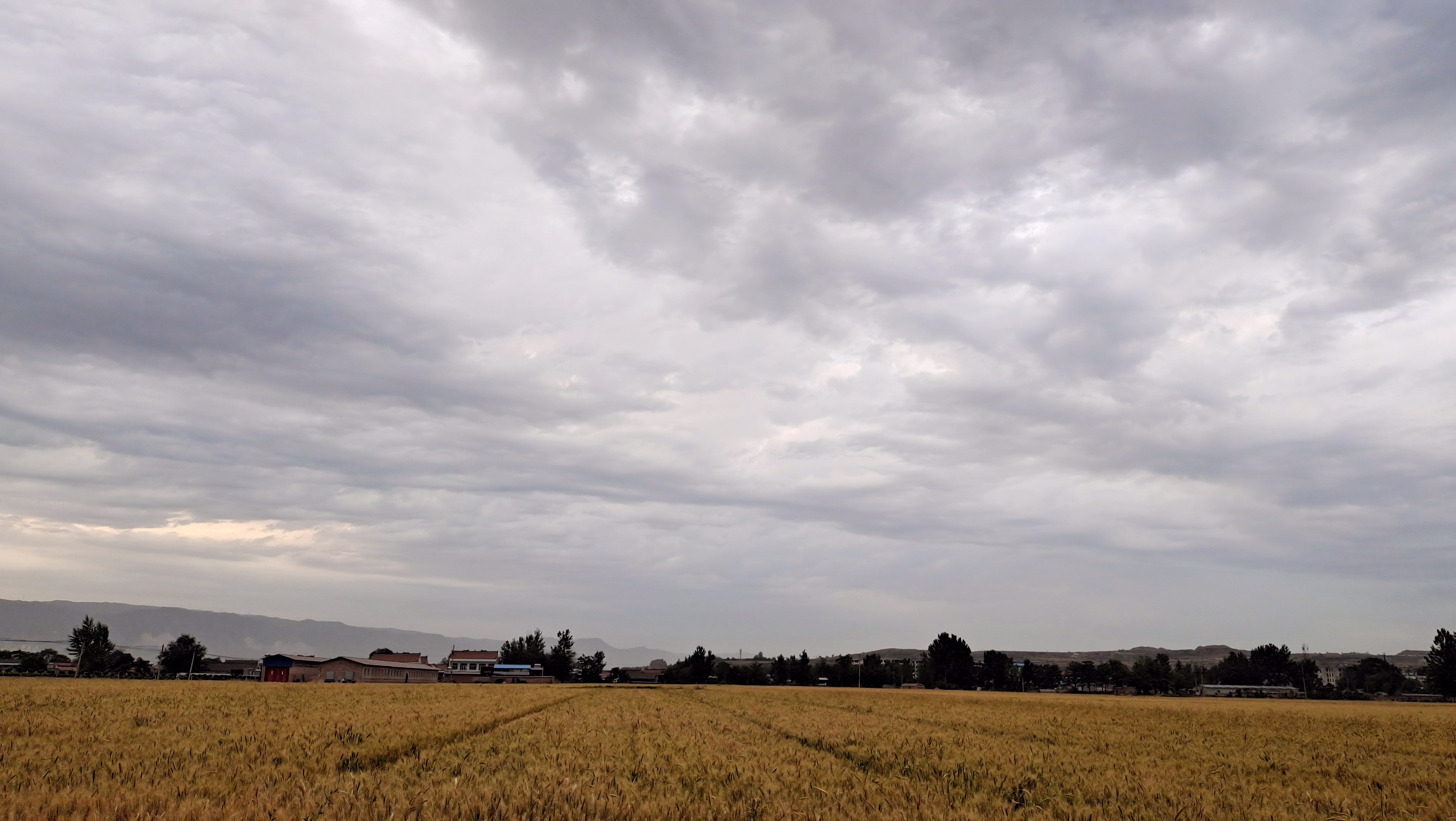 �ٲ���cbin99(�й�)�ٷ���վ