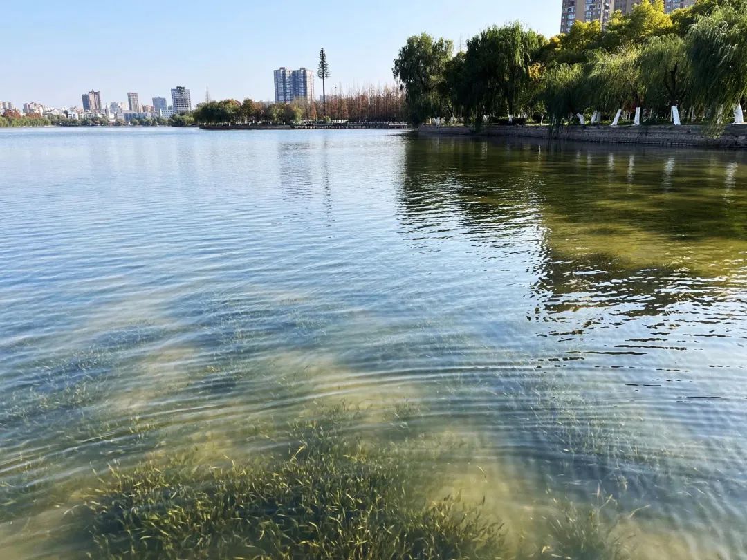 �ٲ���cbin99(�й�)�ٷ���վ