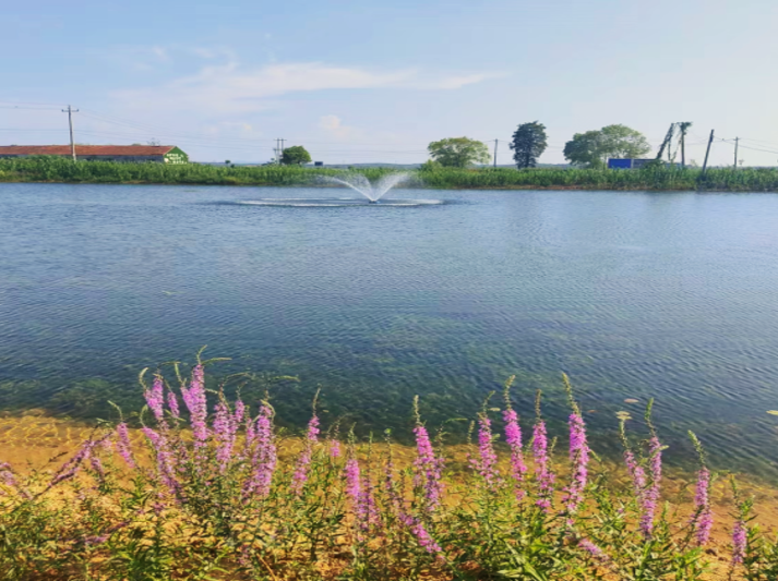 �ٲ���cbin99(�й�)�ٷ���վ