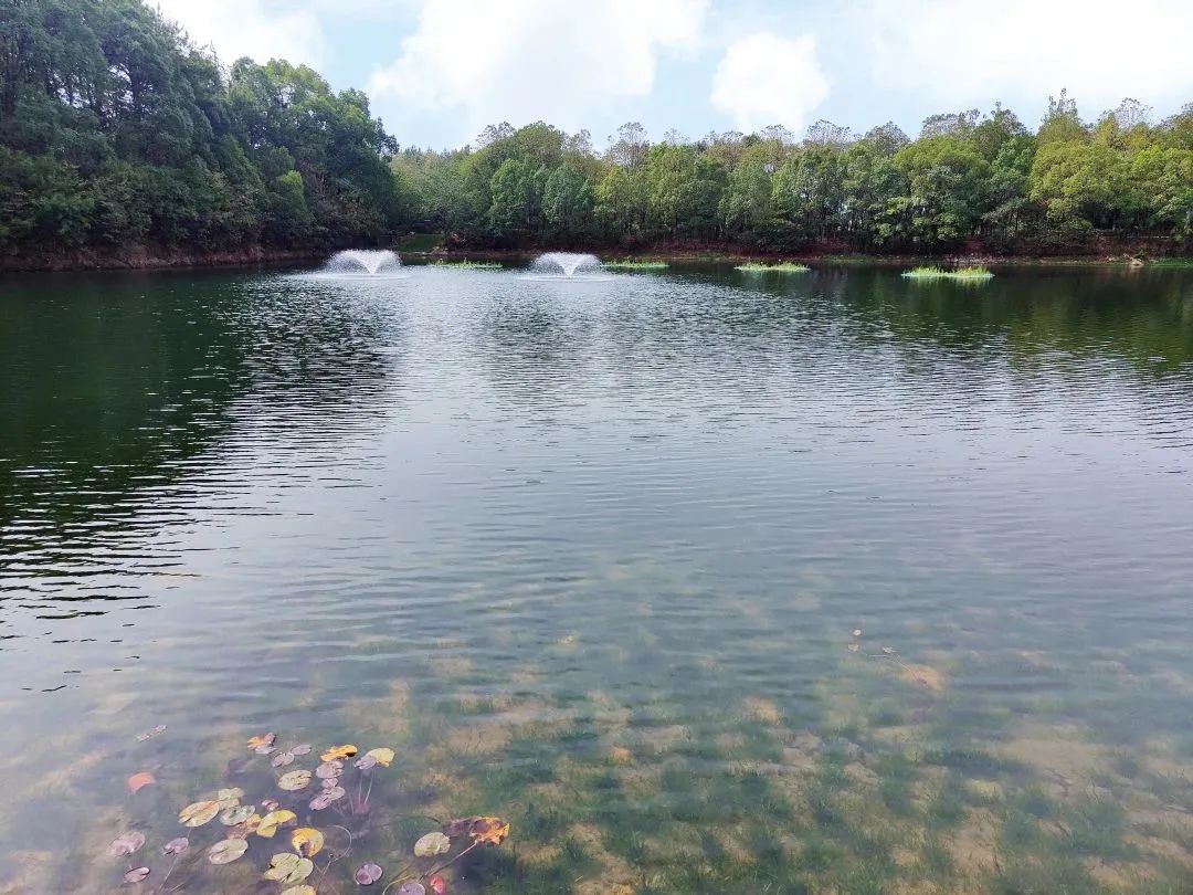 �ٲ���cbin99(�й�)�ٷ���վ