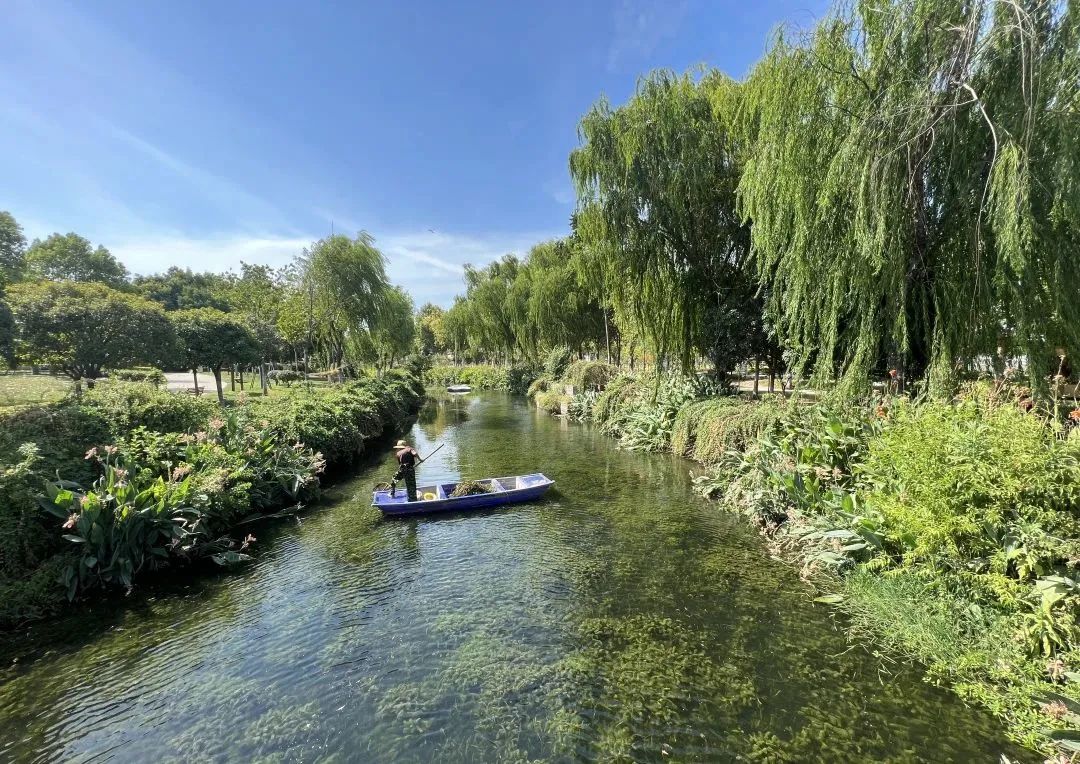 �ٲ���cbin99(�й�)�ٷ���վ