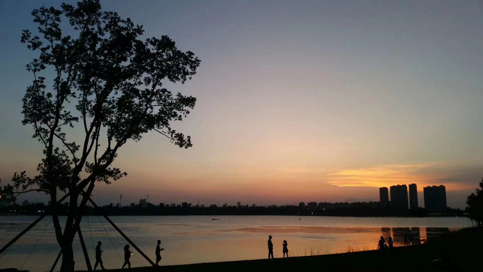 �ٲ���cbin99(�й�)�ٷ���վ