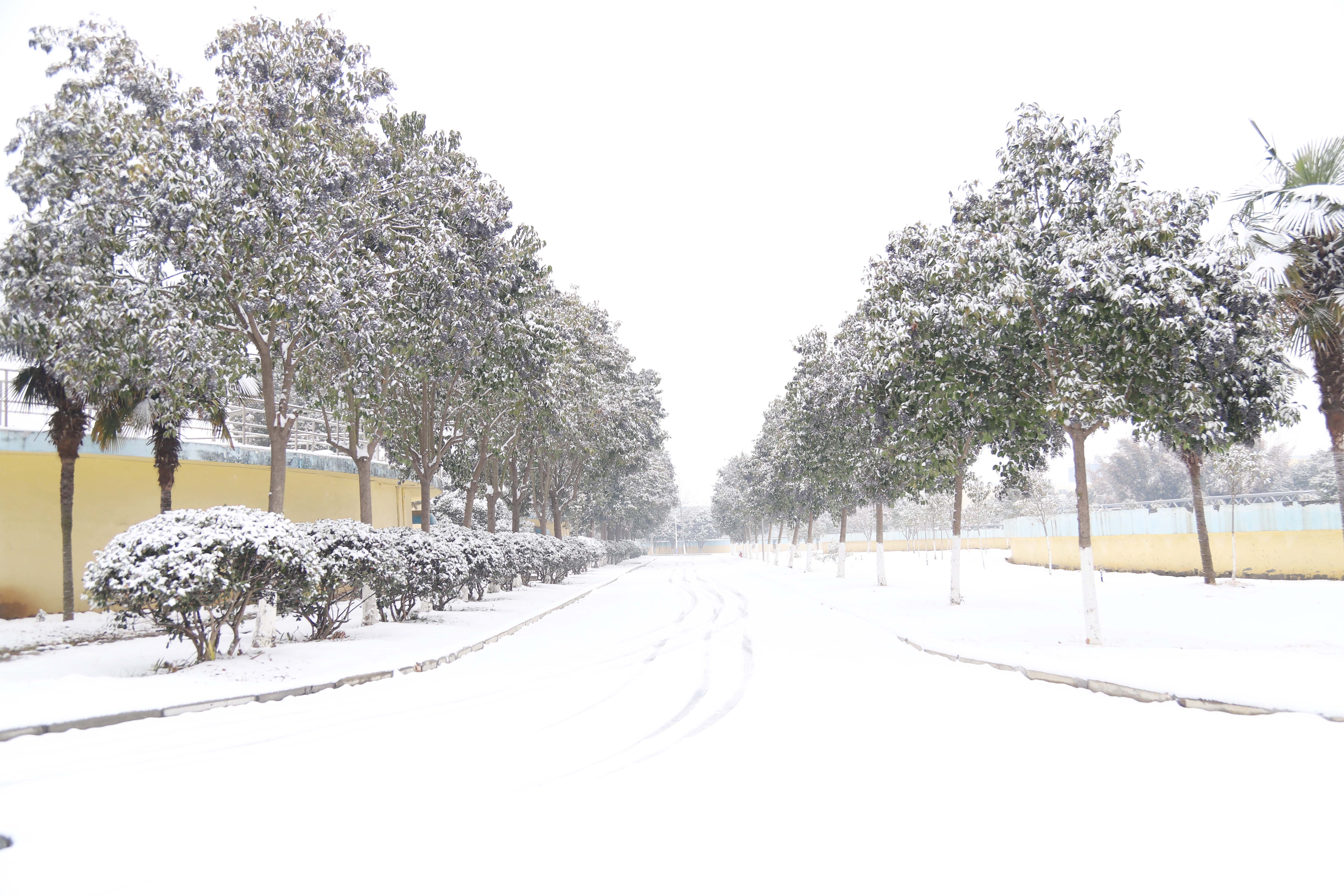 �ٲ���cbin99(�й�)�ٷ���վ