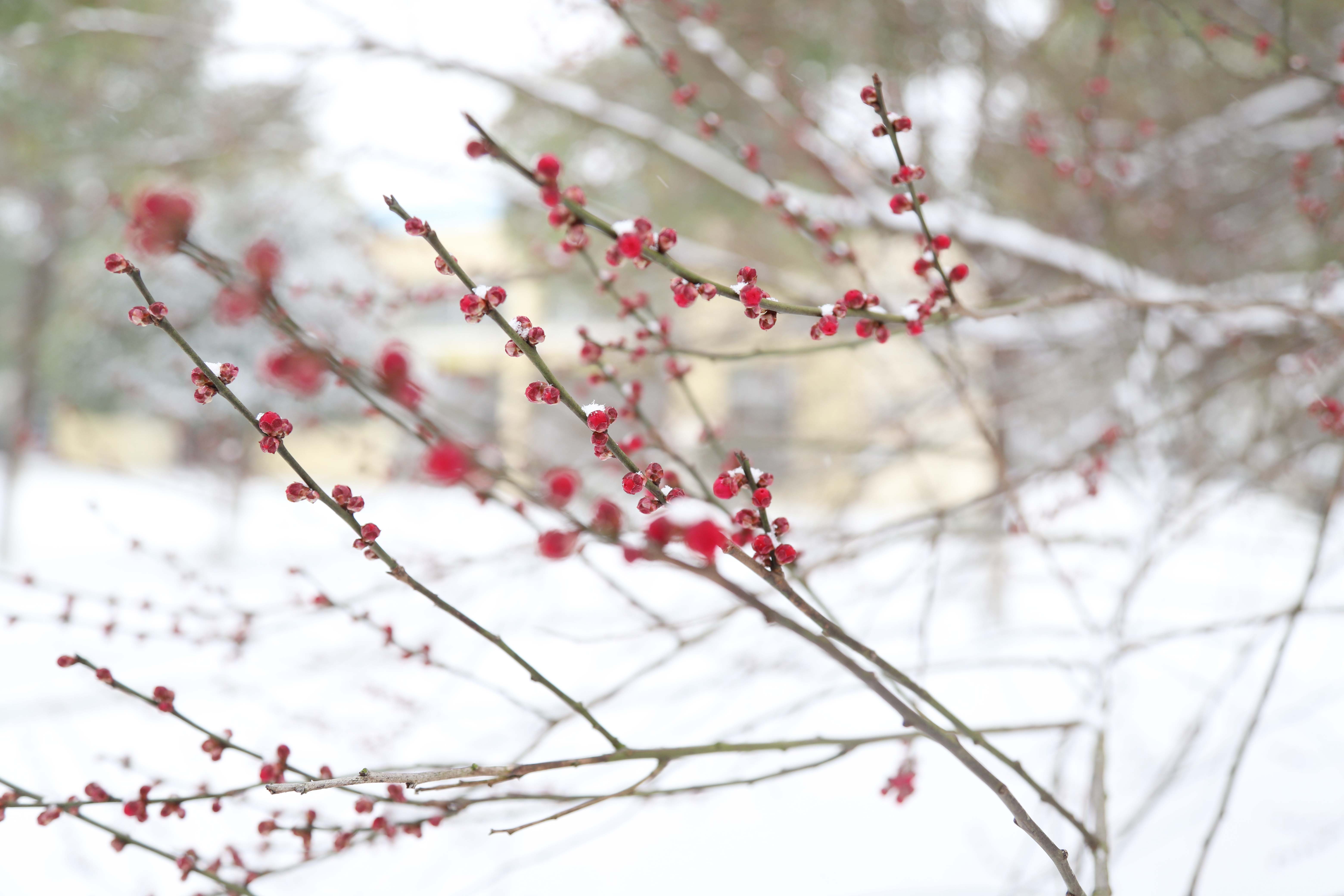 �ٲ���cbin99(�й�)�ٷ���վ