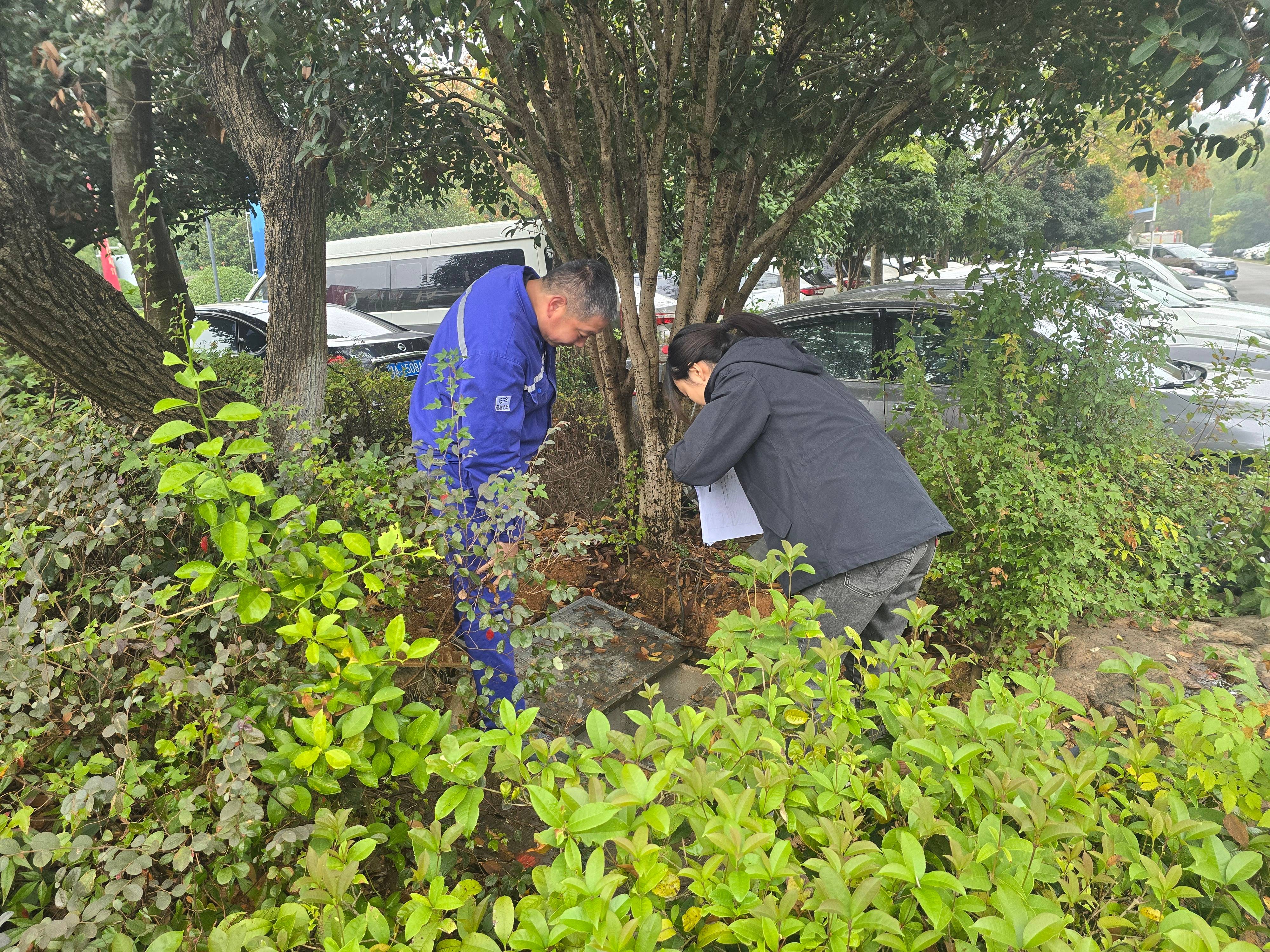 �ٲ���cbin99(�й�)�ٷ���վ