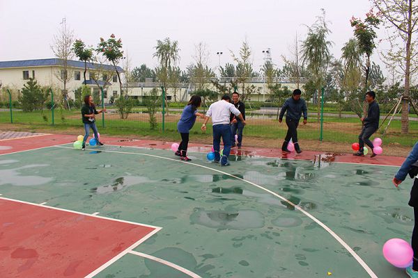 �ٲ���cbin99(�й�)�ٷ���վ