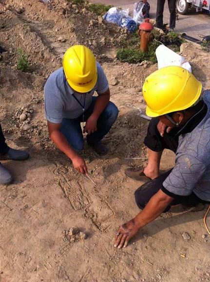 �ٲ���cbin99(�й�)�ٷ���վ