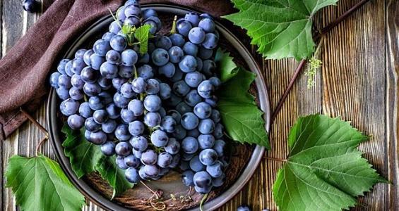 �ٲ���cbin99(�й�)�ٷ���վ